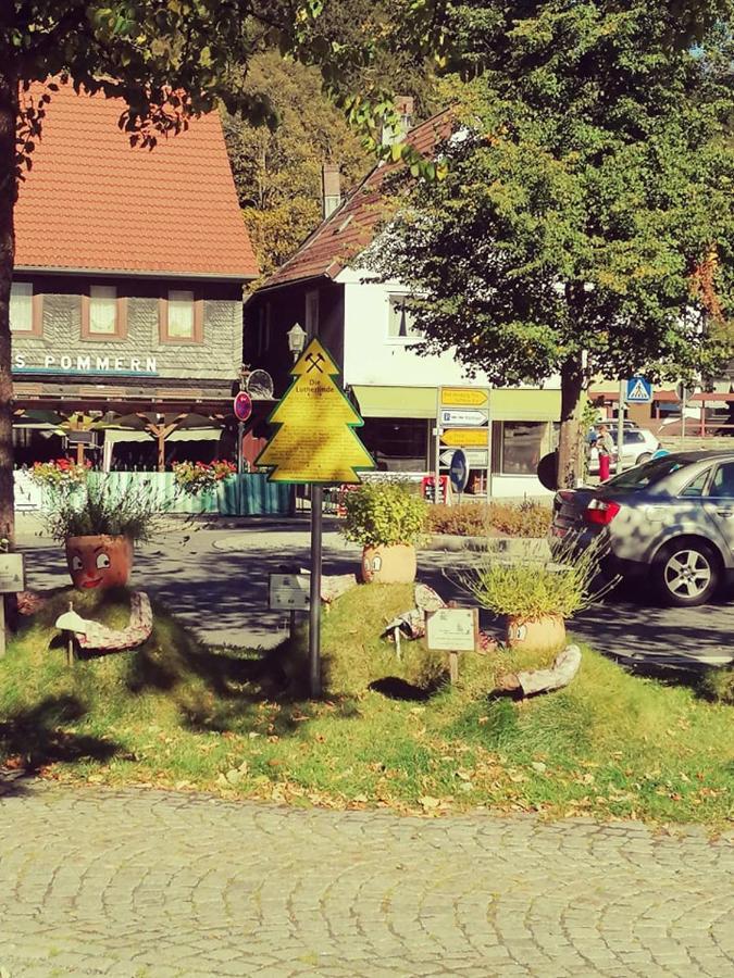 Crisand 2 Bergen Altenau  Kültér fotó